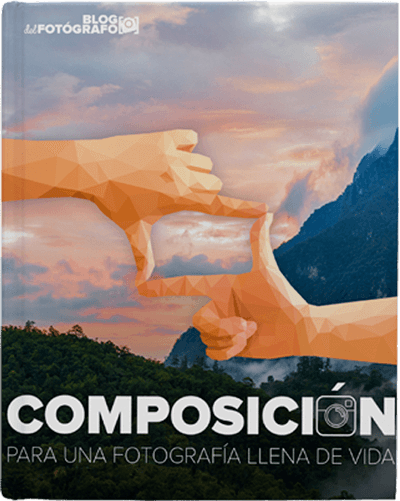 section-6-book-cover-min