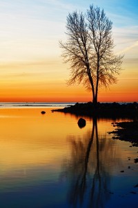 Amanecer
