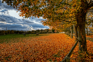 Otoño cerca de Wincherster