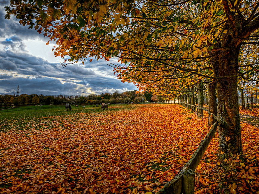 Otoño cerca de Wincherster