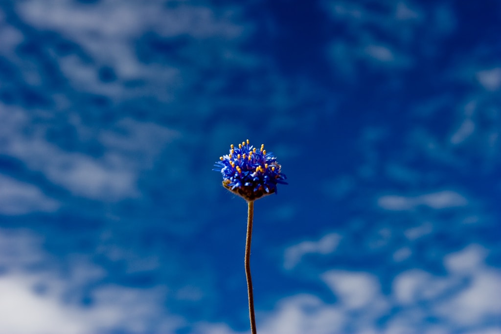Un cielo con nubes aportará mayor interés a tu fotografía Un cielo con nubes aportará mayor interés a tu fotografía