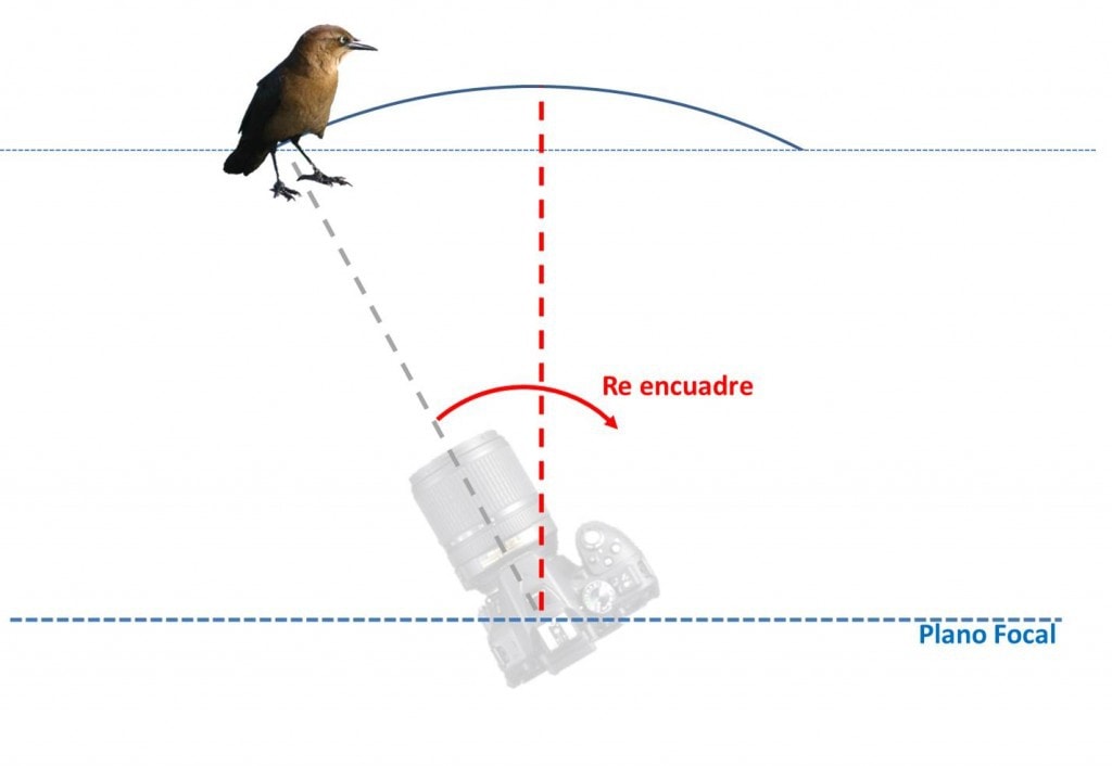 Gráfico de error de paralaje en reencuadre