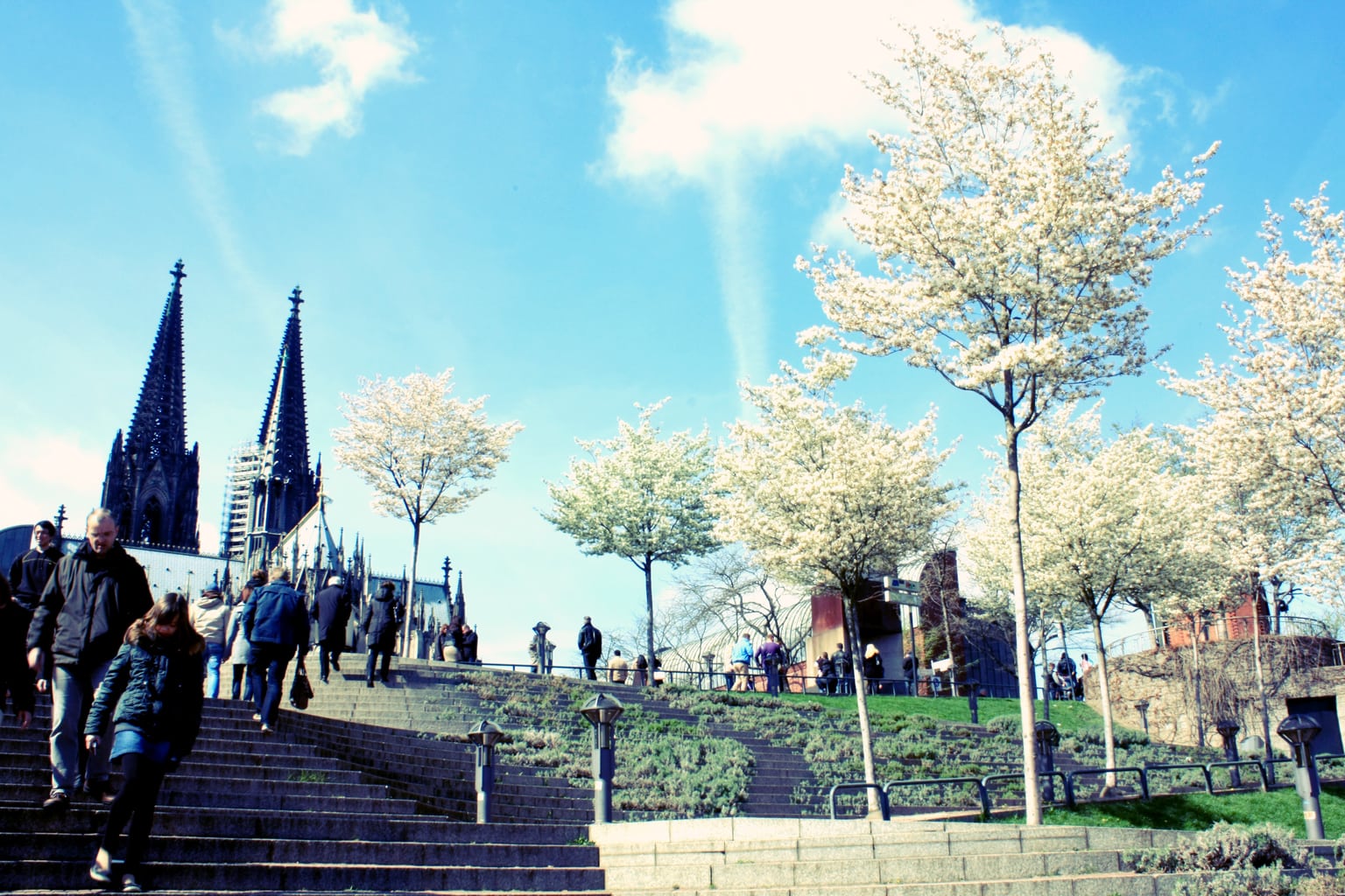 La primavera también llega a las ciudades.