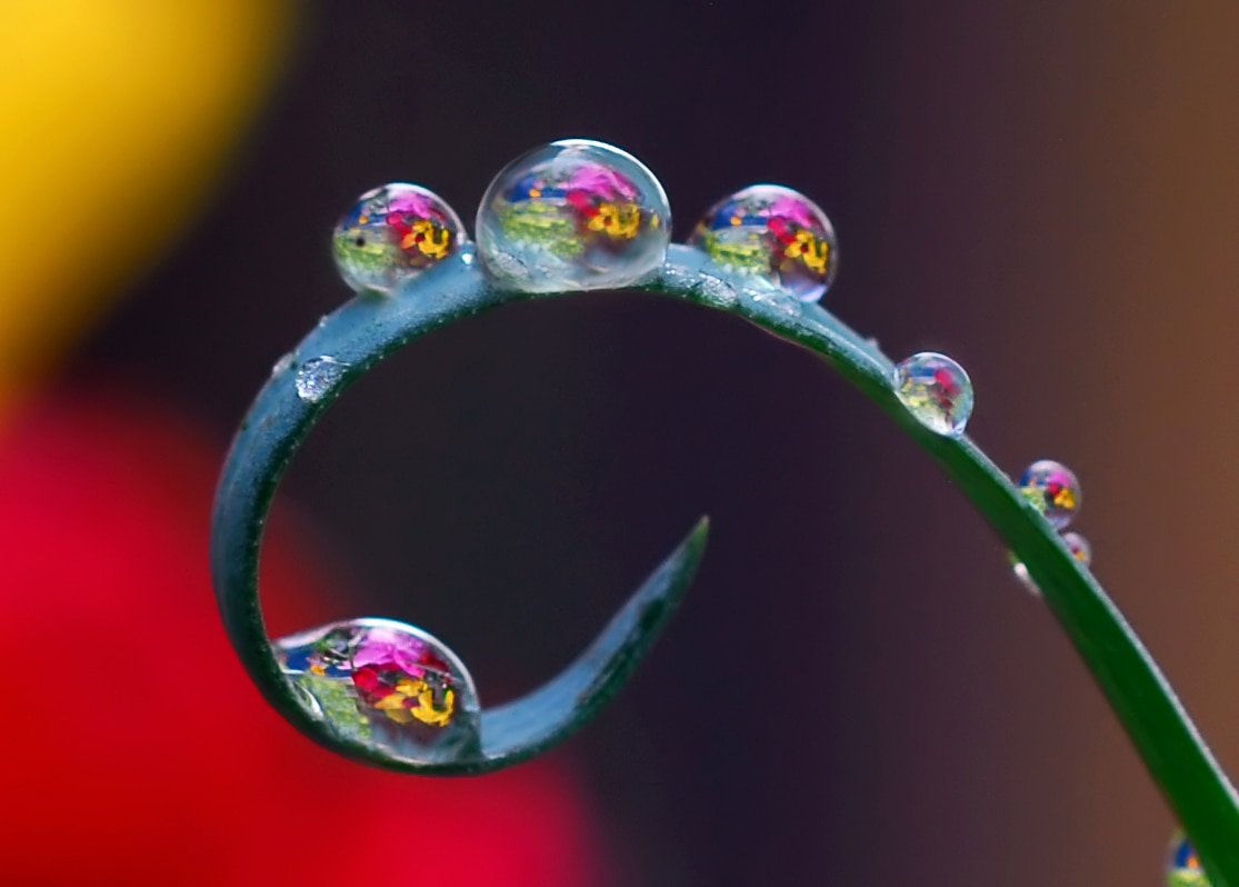 Gotas de agua.