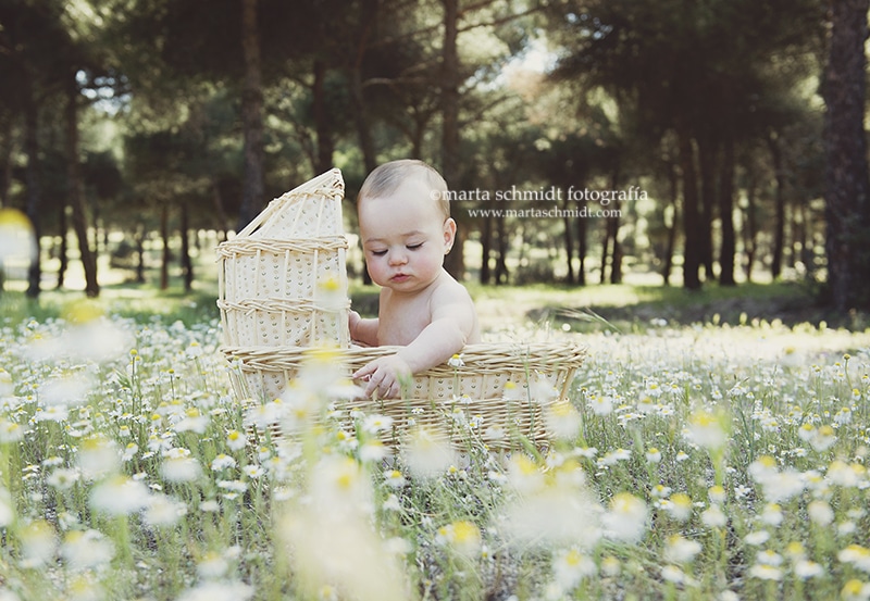 Baby portrait in flower field.