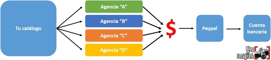 Flujo del proceso
