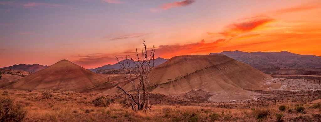 fotografía panorámica del desierto