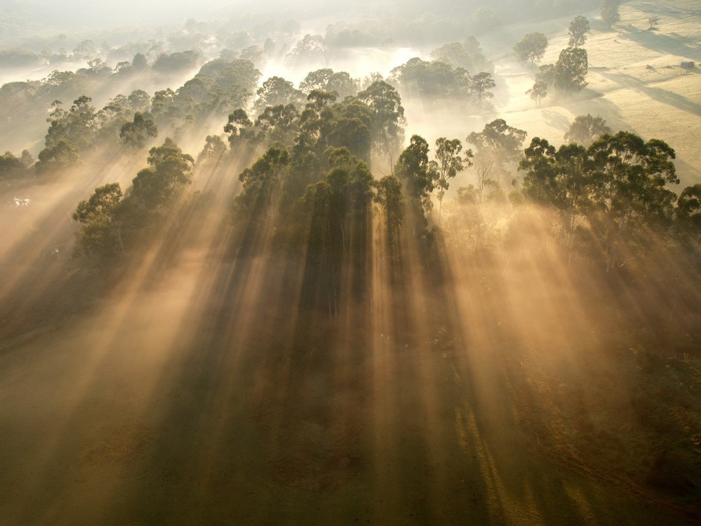 Consejos Para una Impresionante Fotografía de Niebla | Blog del Fotógrafo