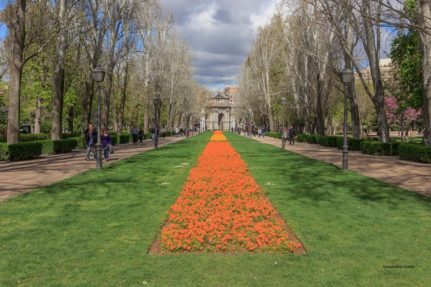 Fernando Martín González_Sin título