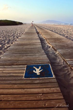 Jose Cañada_Sin título