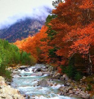 Carlos del Pozo_Otoño