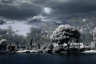 Imagen tomada con filtro infrarrojo.