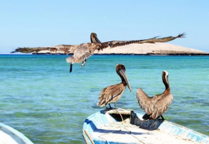 Daniel Fantasma Valencia_Sin título