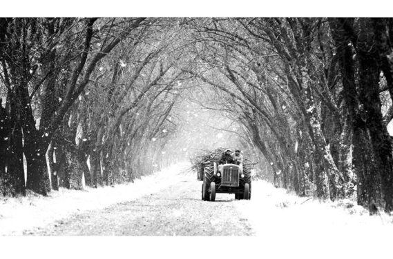 Estudio Creativa_Sin título