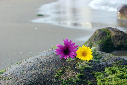 Fátima Moreno Álvarez de Toledo_Sin título