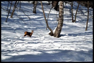 Josan Rabal_Pirineos