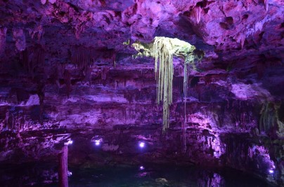 Lizeth Revueltas Moza_Raíz de árbol vista desde el interior de un Cenote