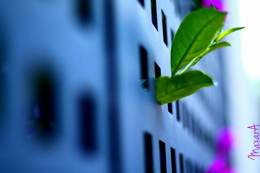 Maite Contrí_Dejadme salir!!