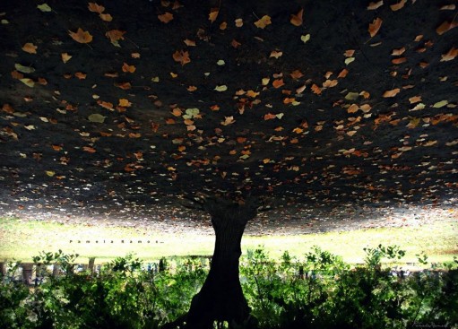 Pamela Ramos_Lo que vemos a veces no es lo que parece