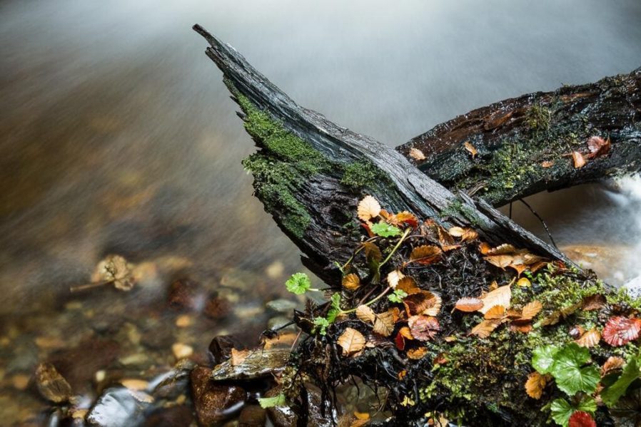 Pixwoosh_Sin título