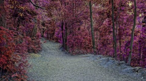 Rodrigo Vasquez Cabrera_Sin título