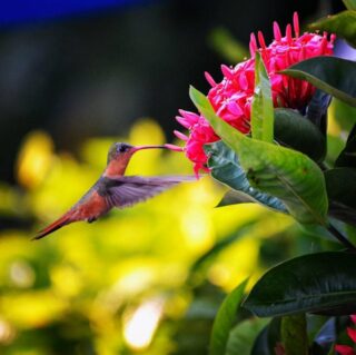 Yurixhi Zarazua Mariscal_Vida