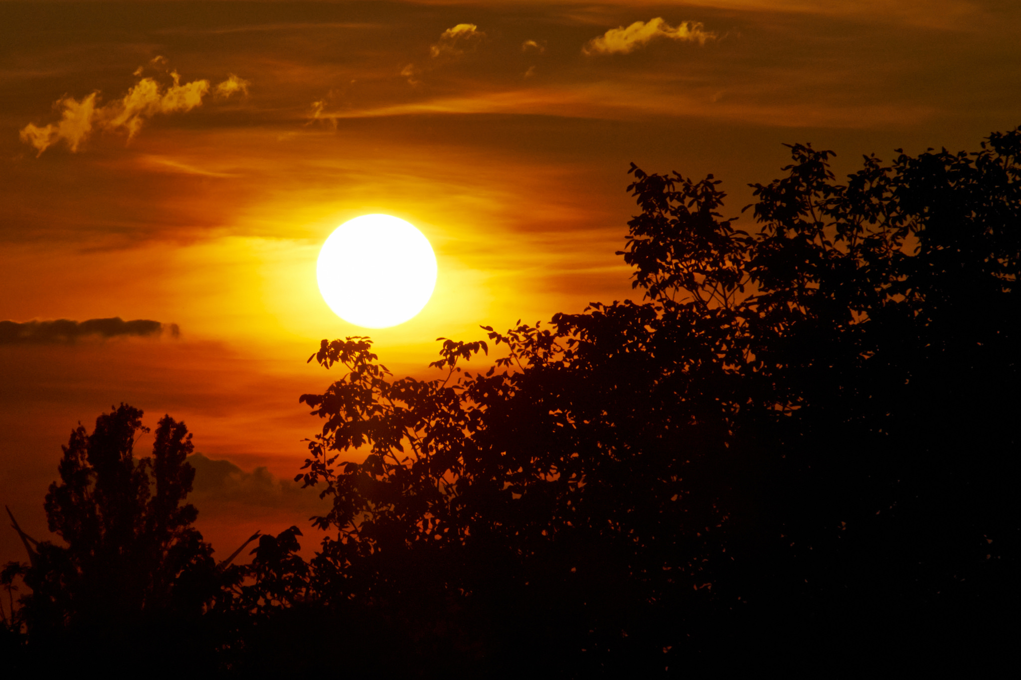 Cómo Fotografiar el Sol: Primeros Pasos, Consejos y Trucos | Blog del