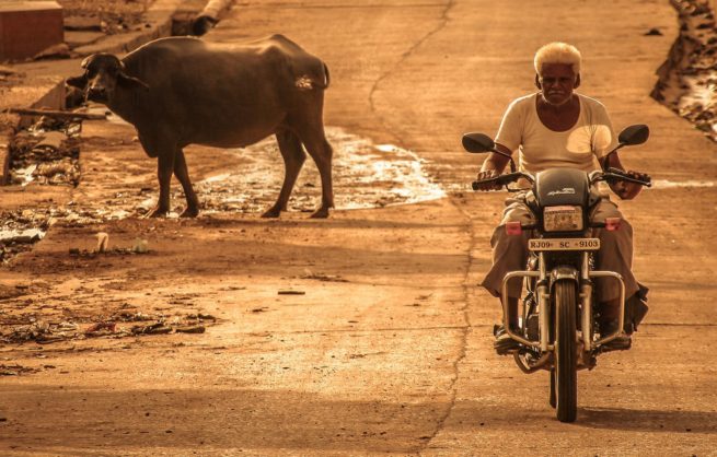 FotoXtreet Rodrigo Roher_La vaca y la moto V2