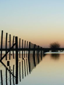 Liliana Molina_Después de tanto llorar mi cielo