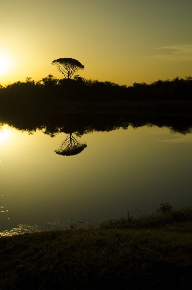Lucas Sánchez_Atardecer en el lago