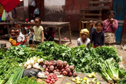 Luisa María García Martínez_Los rostros de Madagascar