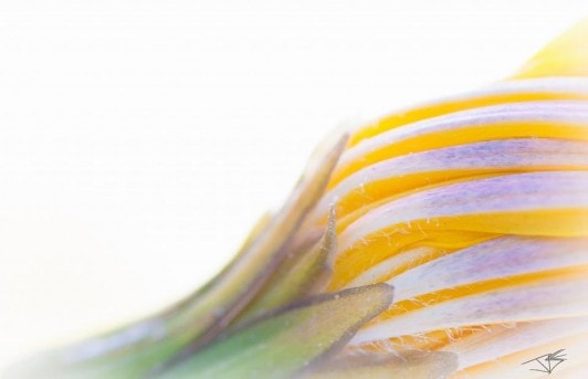 José Francisco Jiménez Fuentes_Sin título