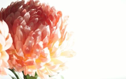 Lisa Schumann_Sin título