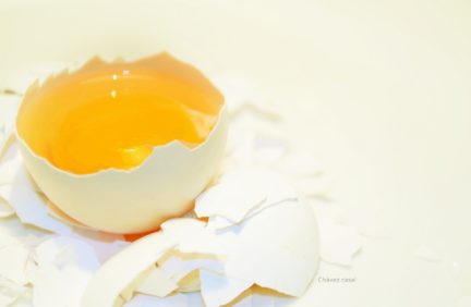 Michel Alejandra Chávez_Blanco por fuera...