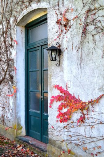 Cecilia Prandi_Mariápolis