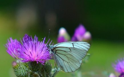 Elena Luceño Garcés_Instante