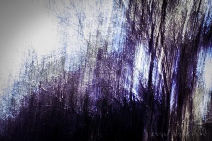 Enrique Delgado Ruano_Sin título