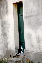 Lincelote_Colonia del Sacramento