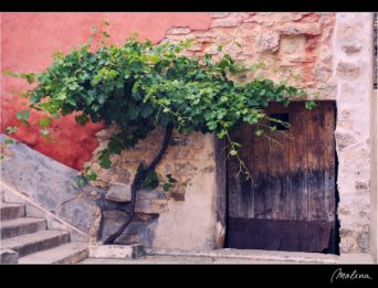 Molina 09_Sin título