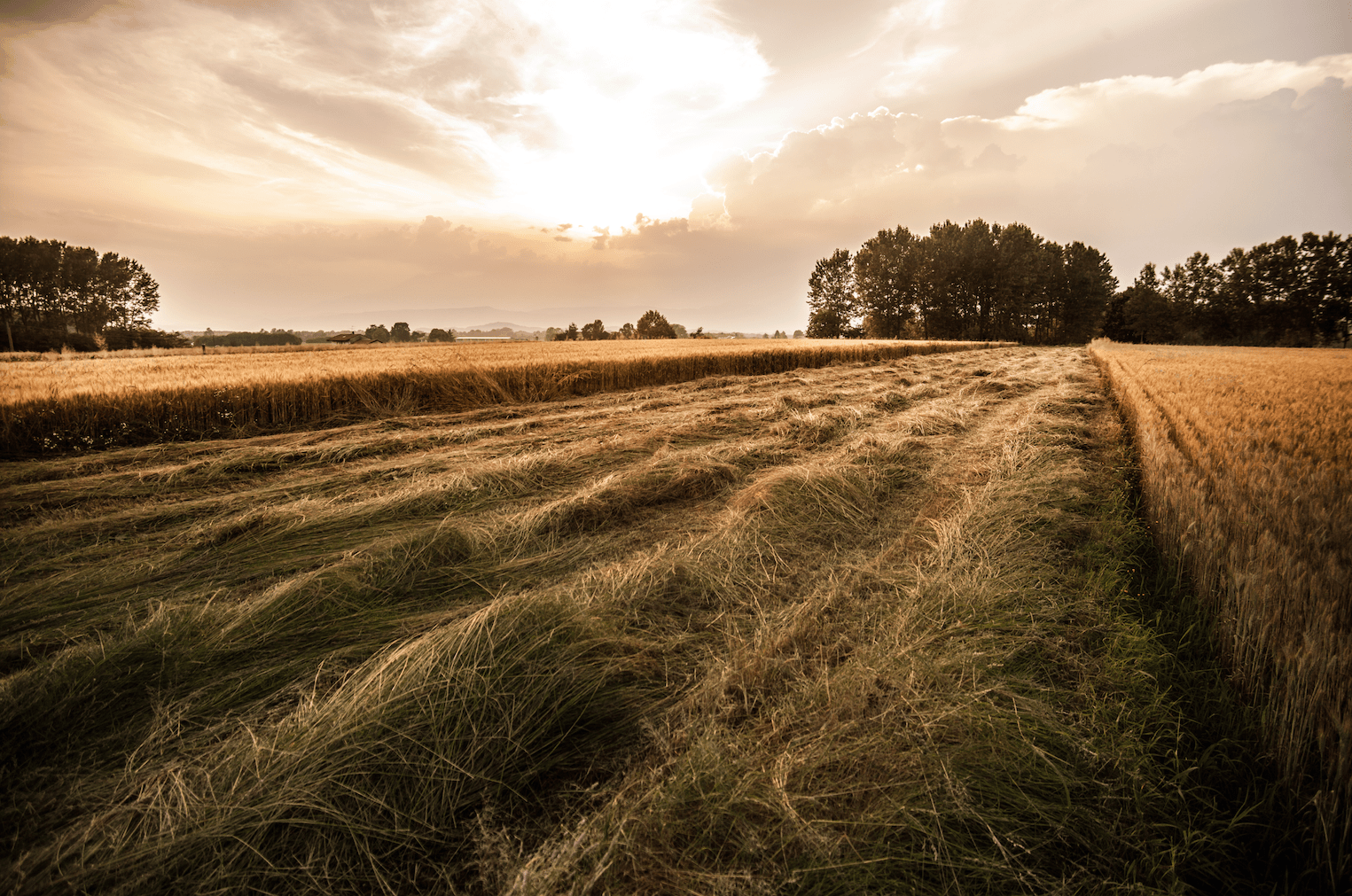 Fotografía de Paisajes