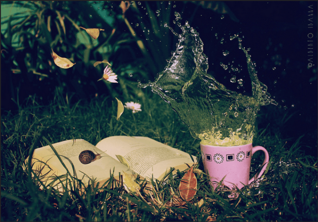 H Alberto Ibarra_Libro y té