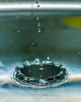 Pepe Pepote_Las fauces del agua