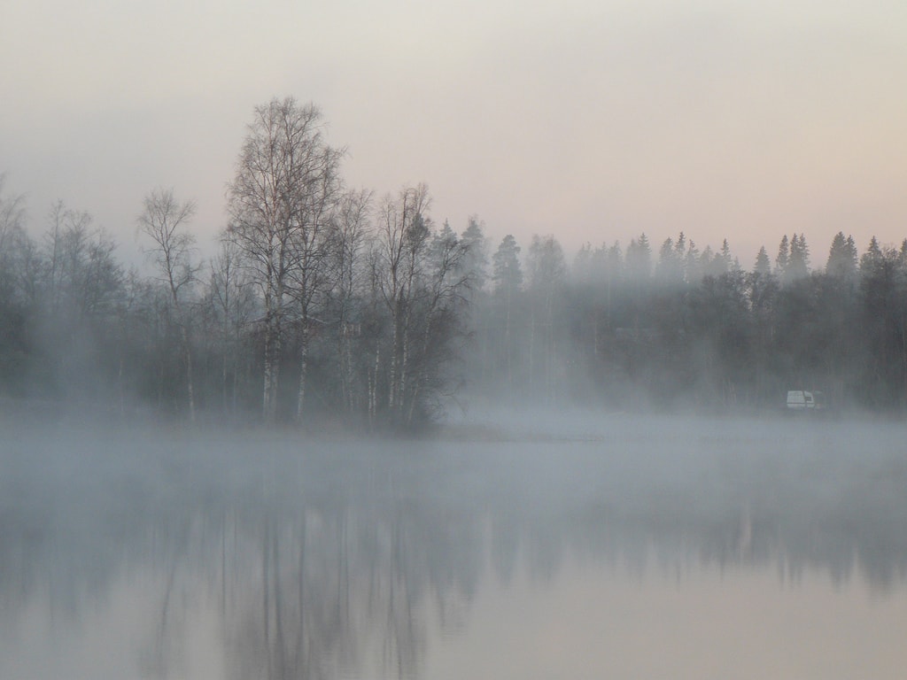 foggy landscape