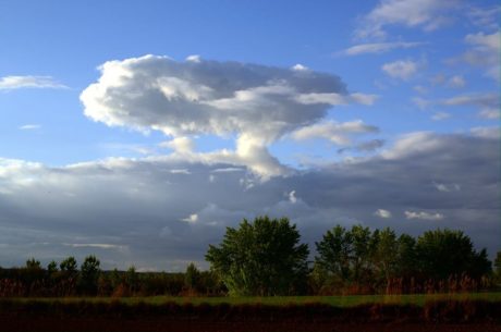 Hector García_After the rain