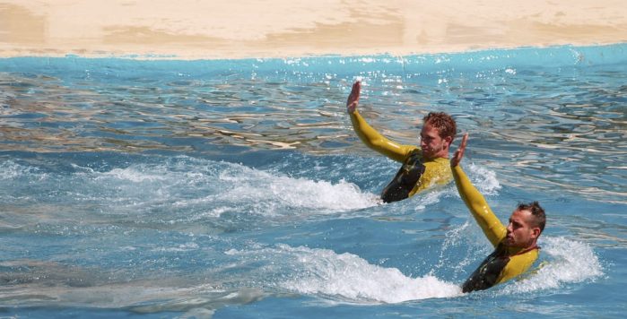 celemiro soti chez_Nos vamos de vacaciones