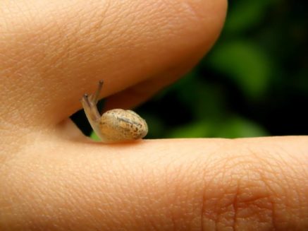 Alexa Gallardo_Sin título