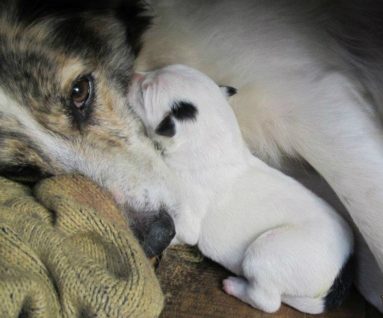 Florencia Pazos_Amor de madre