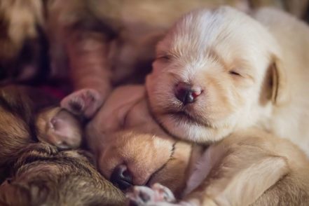 Lourdes Puls_Hora de dormir