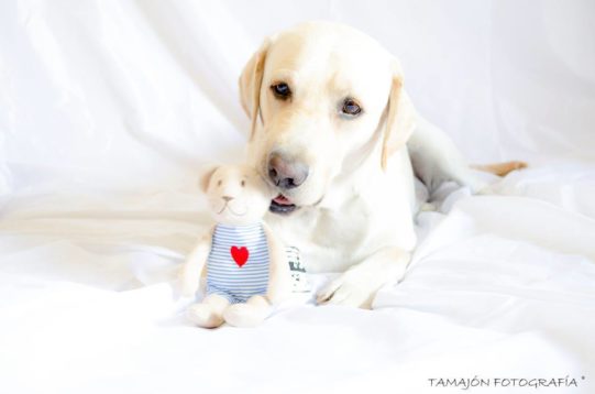 Victor Tamajon_Bebé, ya te lo estreno yo...