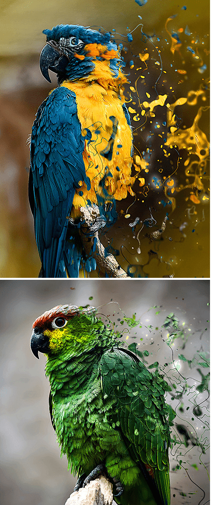 Pintura líquida